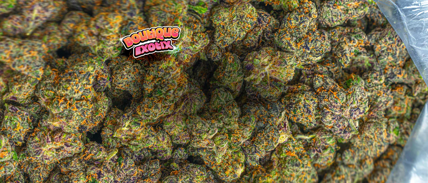 Welcome to Our Store