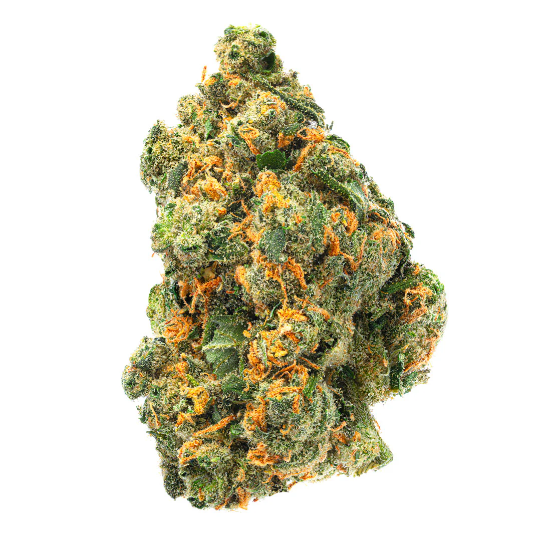 Jack Herer Indoor - 14 Grams - Sativa - Image 3
